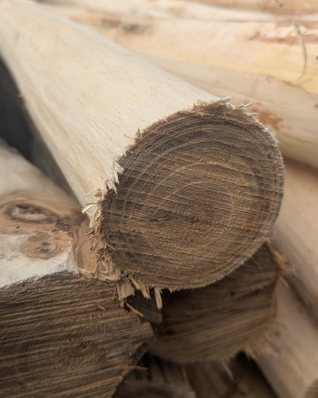 Holzpfahl aus Akazie