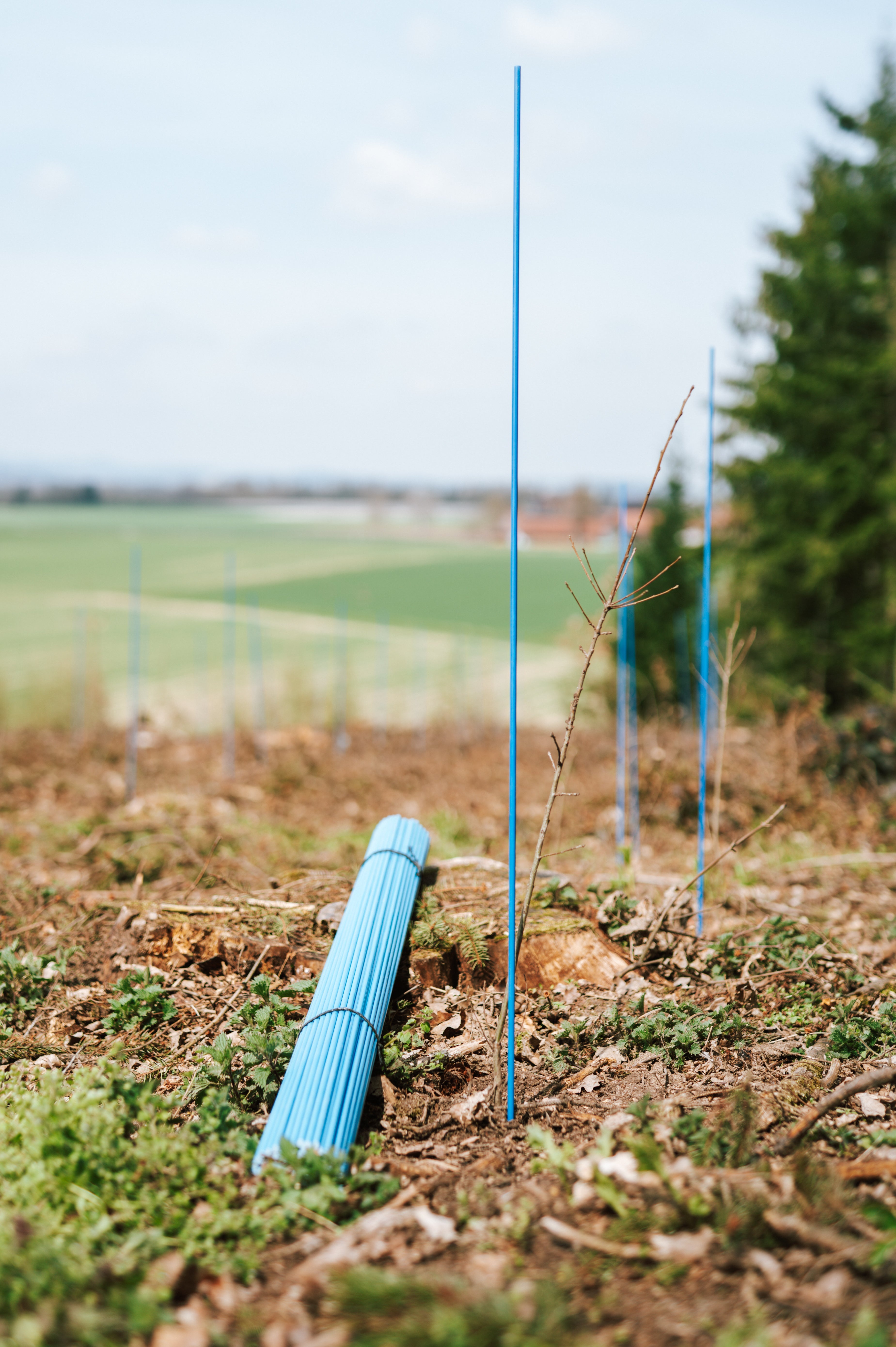 Aufbau Forstmarkierstab blau
