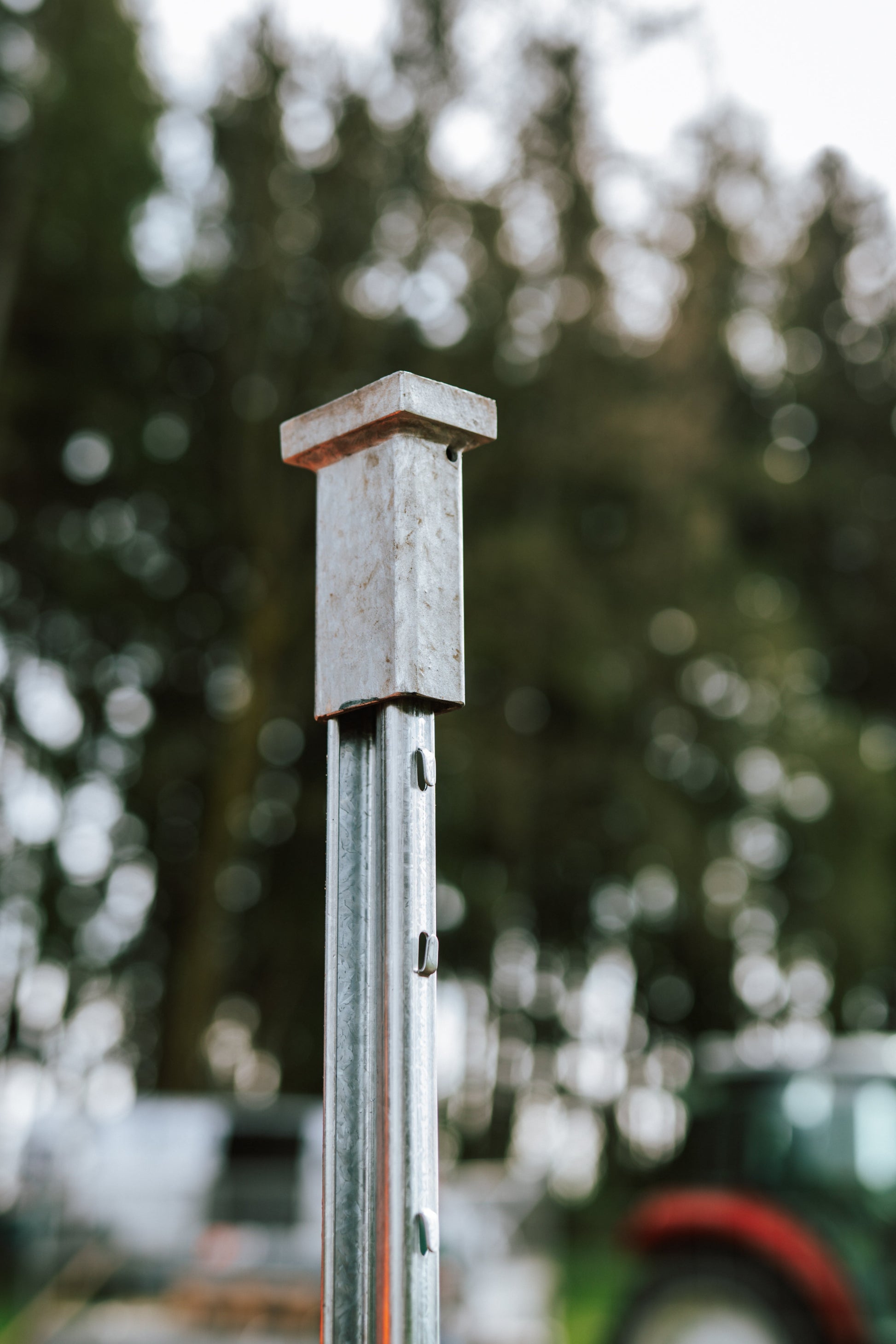 Einschlaghilfe auf Pfahl im Wald