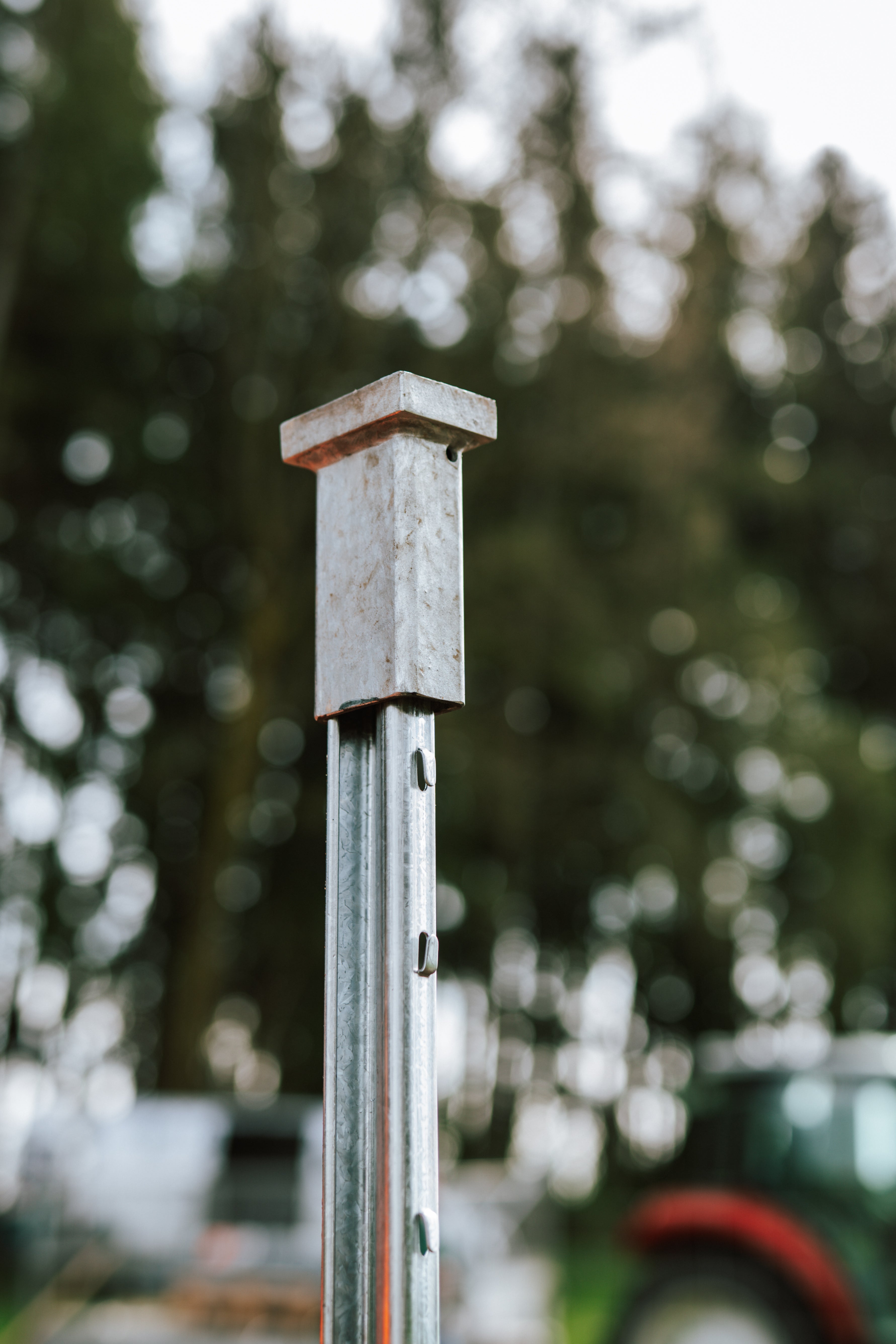 Einschlaghilfe auf Pfahl im Wald
