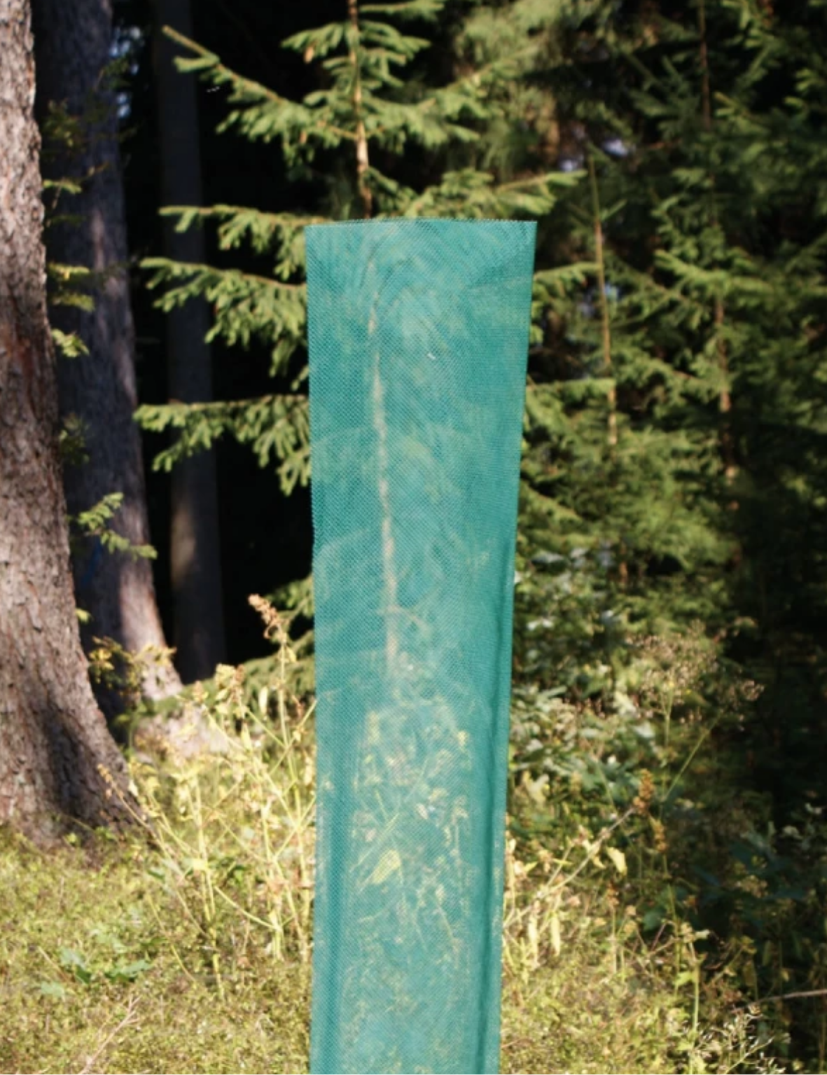 Klimawit Light 220 - 50er Pack