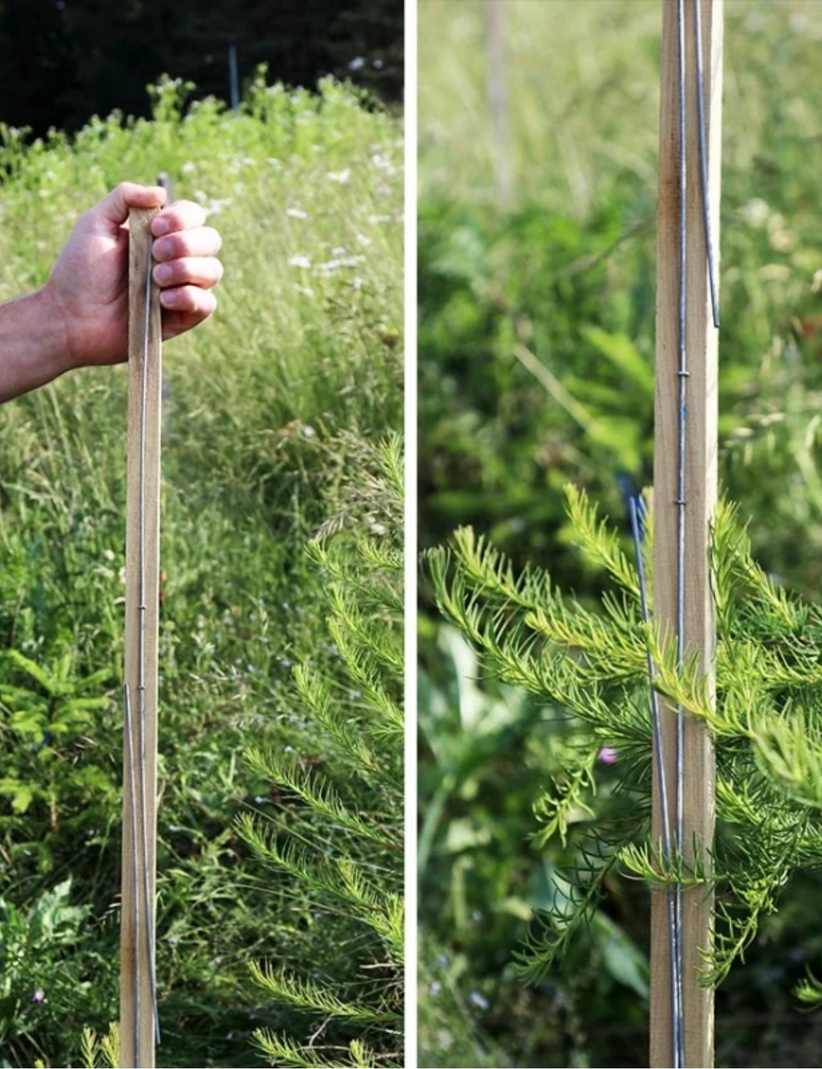 WitaPro  Fegeschutzstab 150cm - 25er Pack