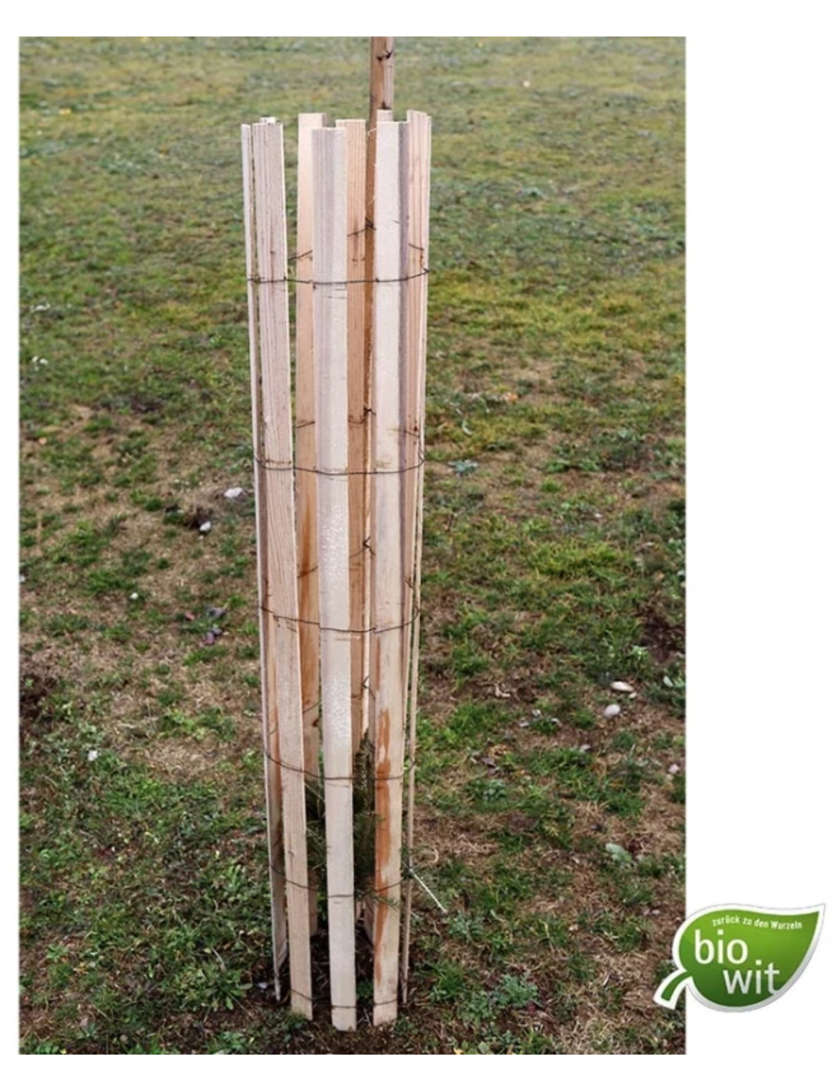 WitaPro Freiwuchs 120 cm
