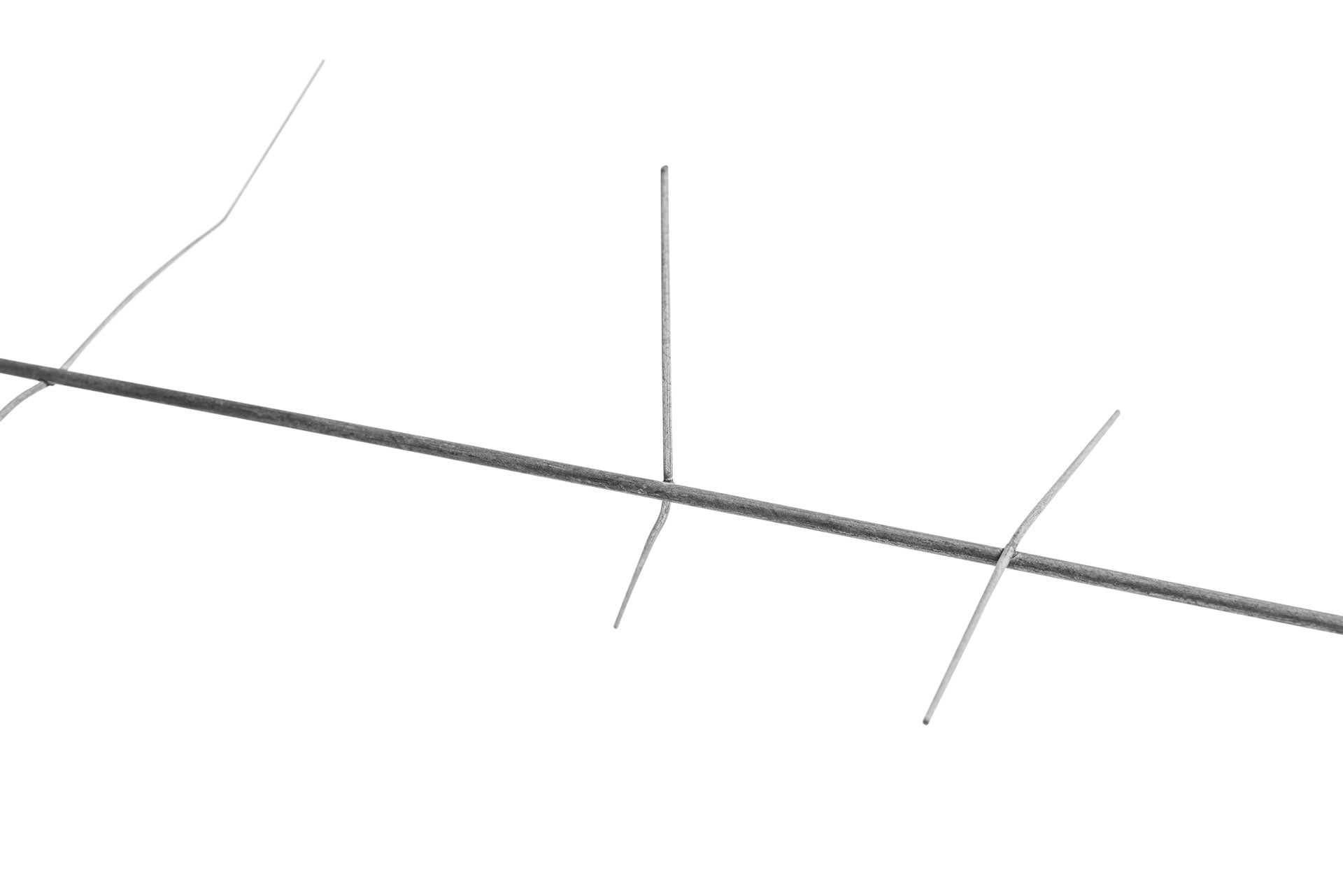 Produktbild: Stachelbaum in 120cm 