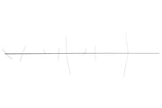 Produktbild: Stachelbaum in 120cm 